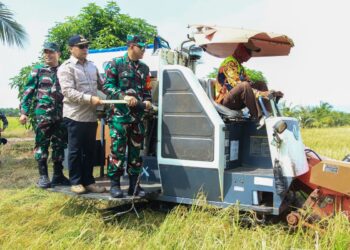 Kodim 0908 Bontang Ikut Panen Raya Di Kukar