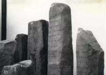 Fakta Menarik tentang Kerajaan Kutai Kartanegara: Dari Kejayaan hingga Runtuh